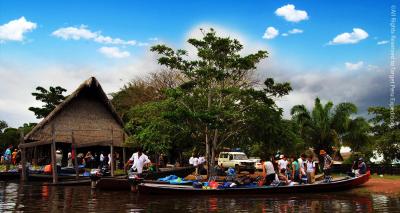 Rurrenabaque � Pampas